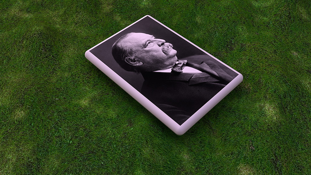 Grover Cleveland on Grass, 2008