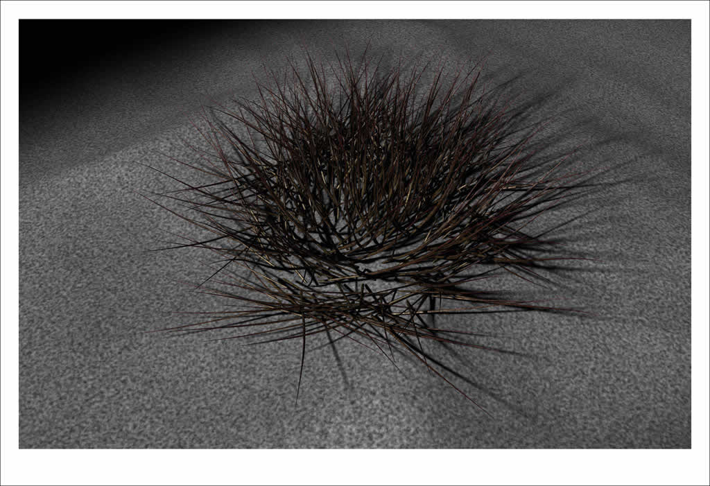 Sticks, 2004