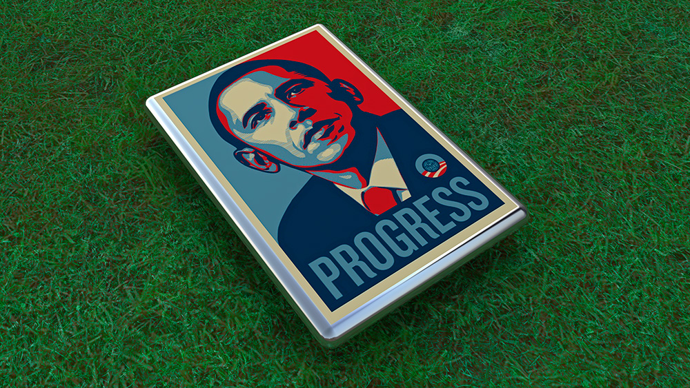 Obama Progress, 2008