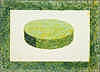 Green Disk